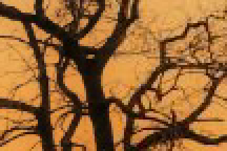Bare branches against an orange sunset sky, enlarged and split down the middle: the left half as saved, the right half at Balanced, with faint squares in the sky and slightly softer twigs.